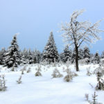 Zdjęcie krajobrazu górskiego zimą