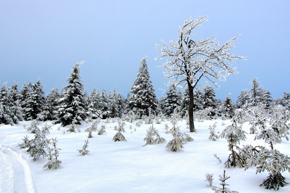 Zdjęcie krajobrazu górskiego zimą