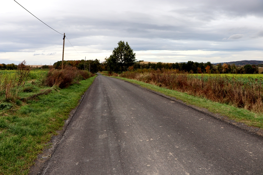 Droga asfaltowa na wsi. Po obu stronach pola. W tle drzewa.