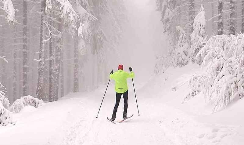 Zdjęcie przedstawiające narciarza biegowego na trasie biegowej w ośniezonym lesie, ubranego w jaskrawo zielona kurtkę, czarne spornie i czerwoną czapkę z kijkami narciarskimi w dłoniach, z uniesionymi ramionami.