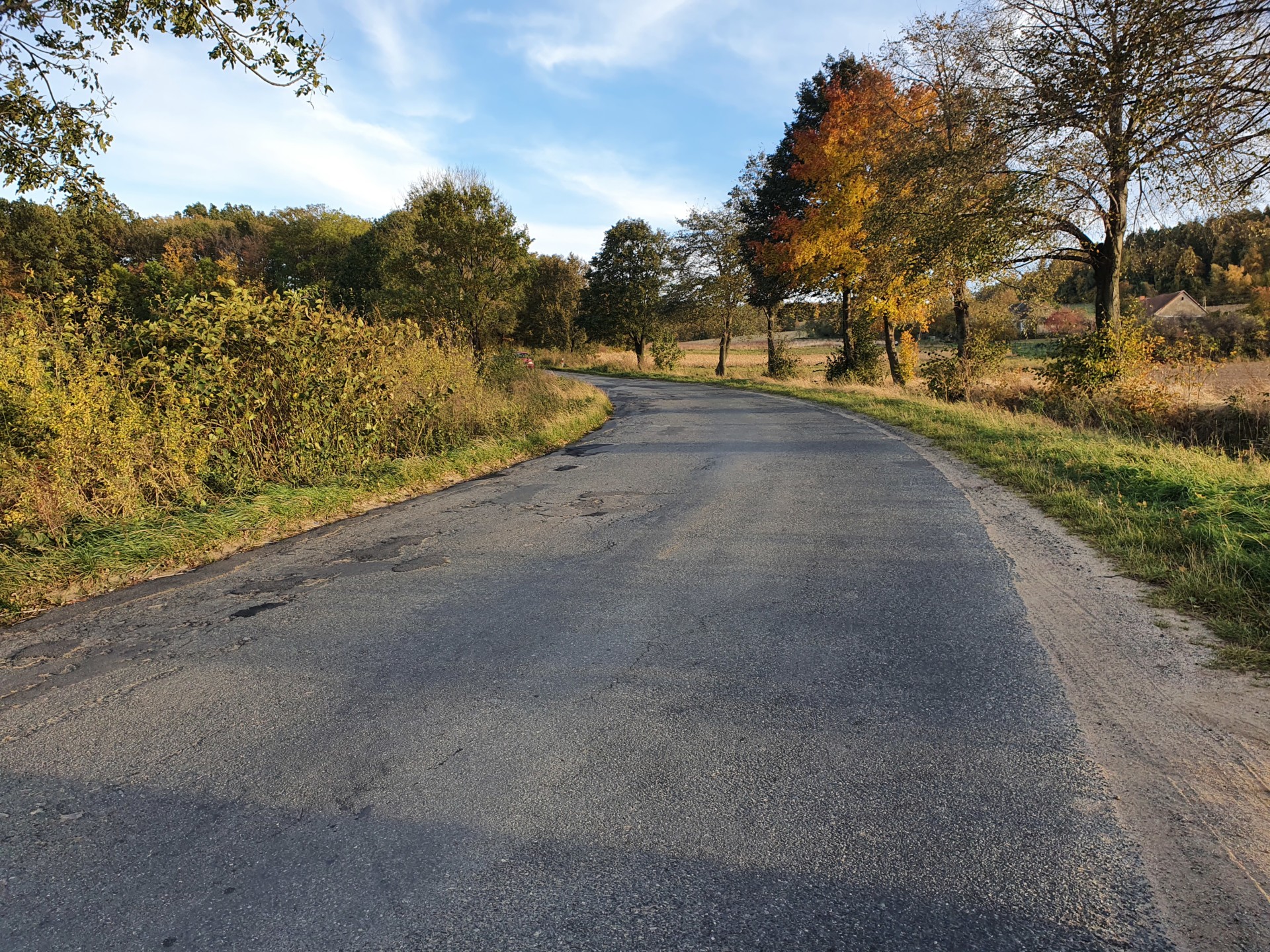 Wąska dziurawa droga asfaltowa. Zielone zarośnięte pobocza, a po prawej stronie drzewa