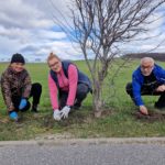 Radni sadzą drzewa w Piławie Górnej