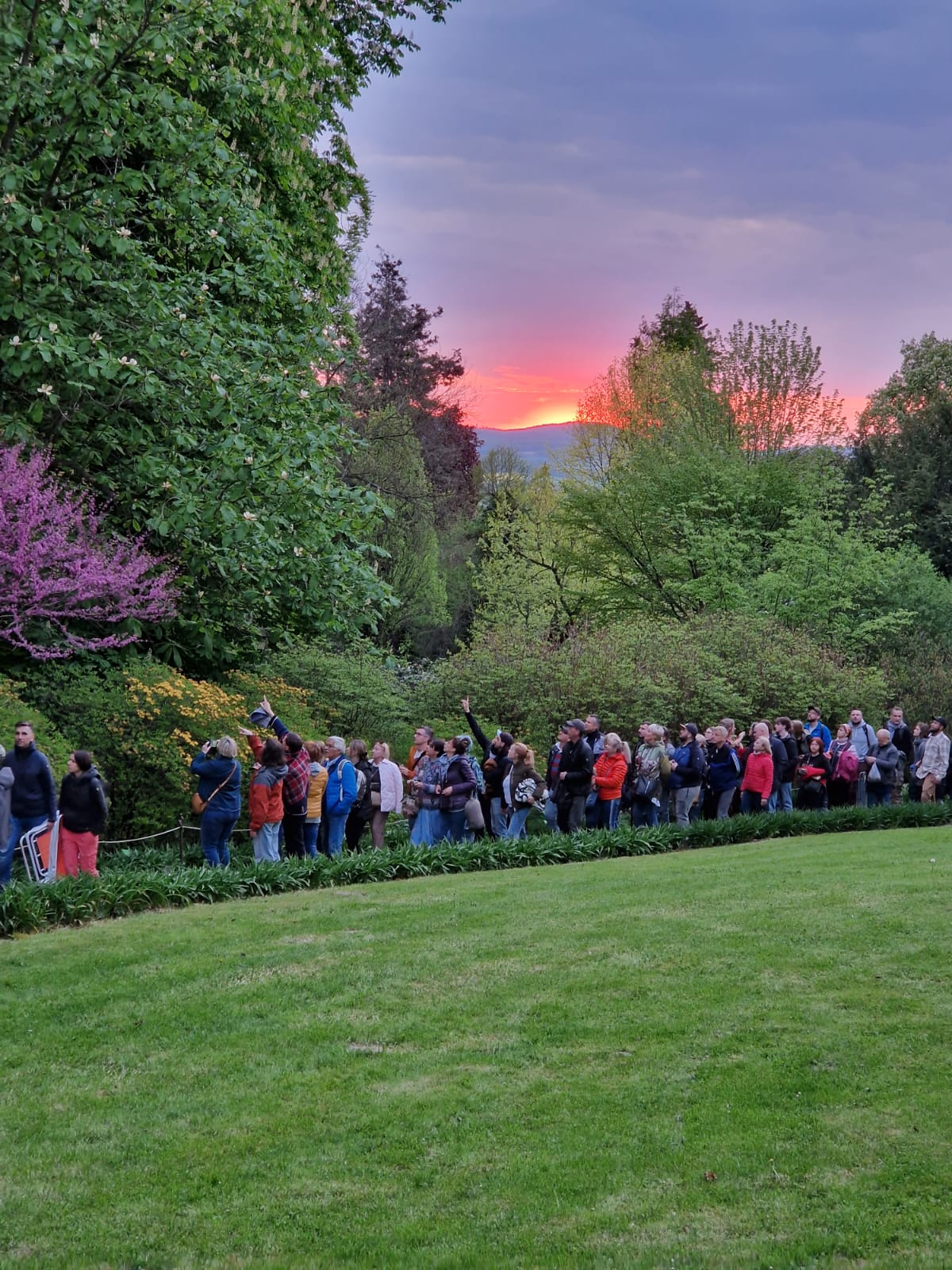 Uczestnicy spacerujący po ogrodzie o zachodzie słońca