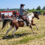 kowboj z rancza siódmy koń