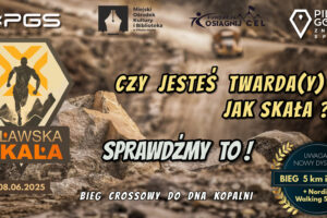 grafika zapraszająca na Piławską Skałę