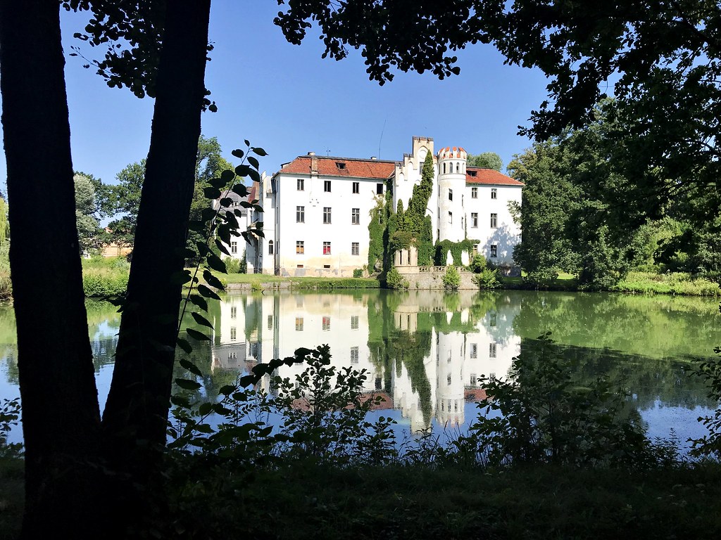 Pałac nad stawem wokół drzewa widok z przeciwnej strony stawu