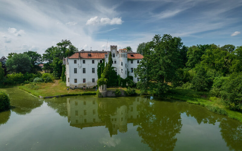 Pałac nad stawem wokół drzewa