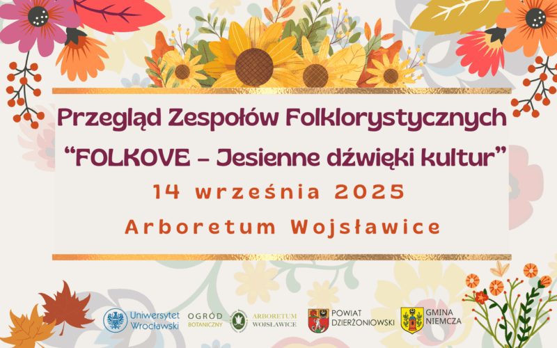 Kwiaty i liście - przegląd zespołów folklorystycznych FOLKOVE - Jesienne dźwięki kultur