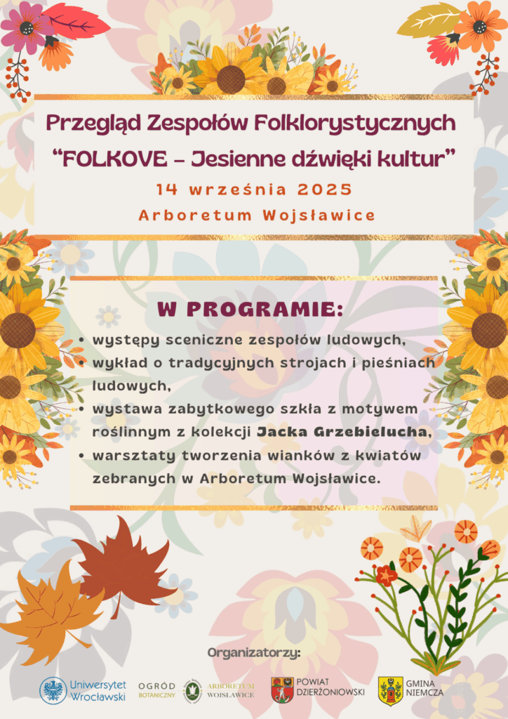 plakat wydarzenia folkove