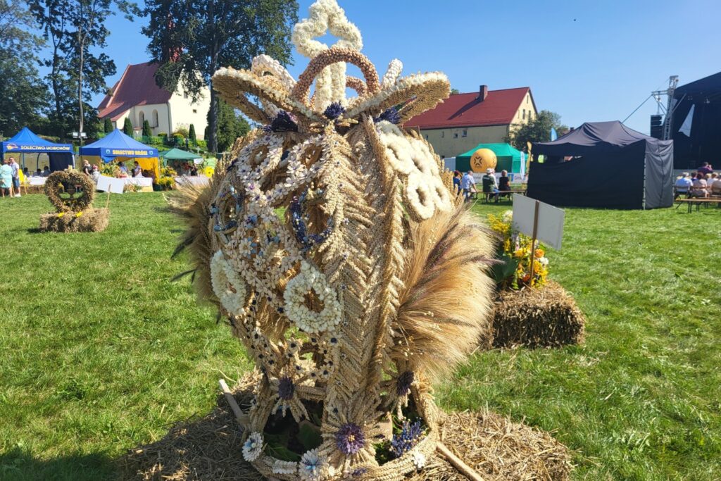 wieniec dożynkowy
