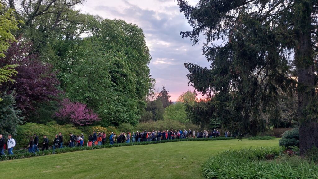 spacer po Arboretum wieczorem