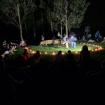 koncert w arboretum