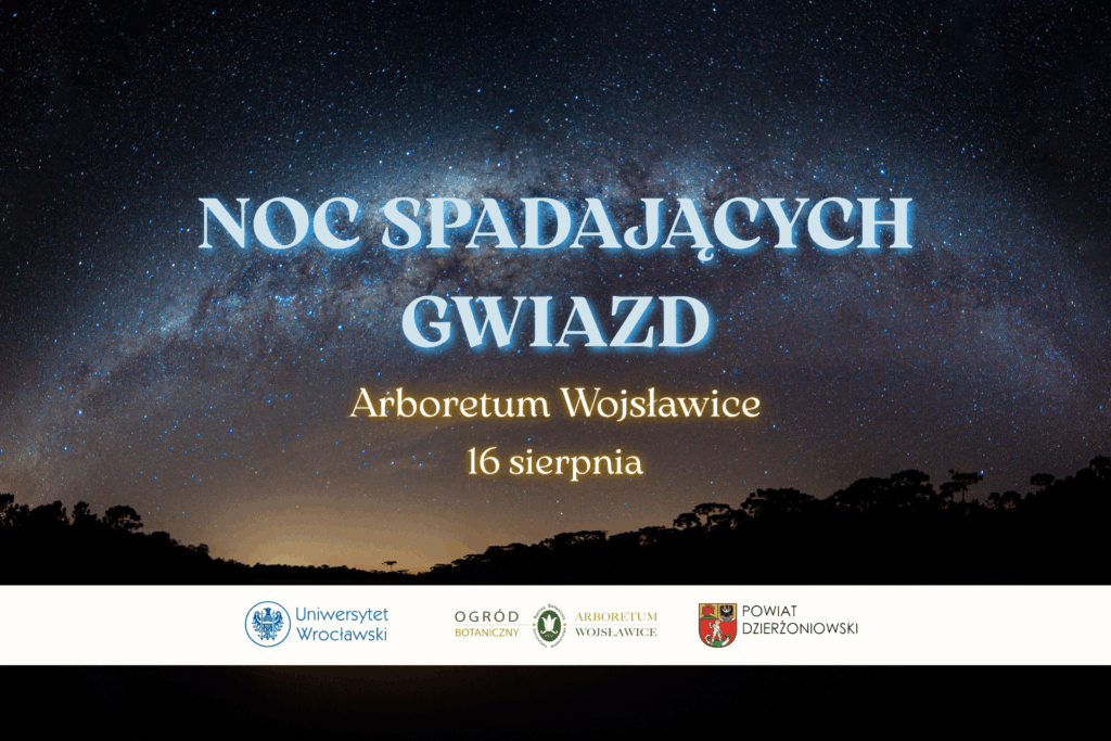baner promujący noc spadających gwiazd