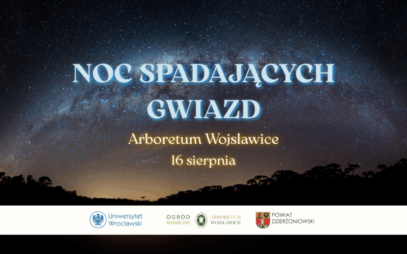 baner promujący noc spadających gwiazd
