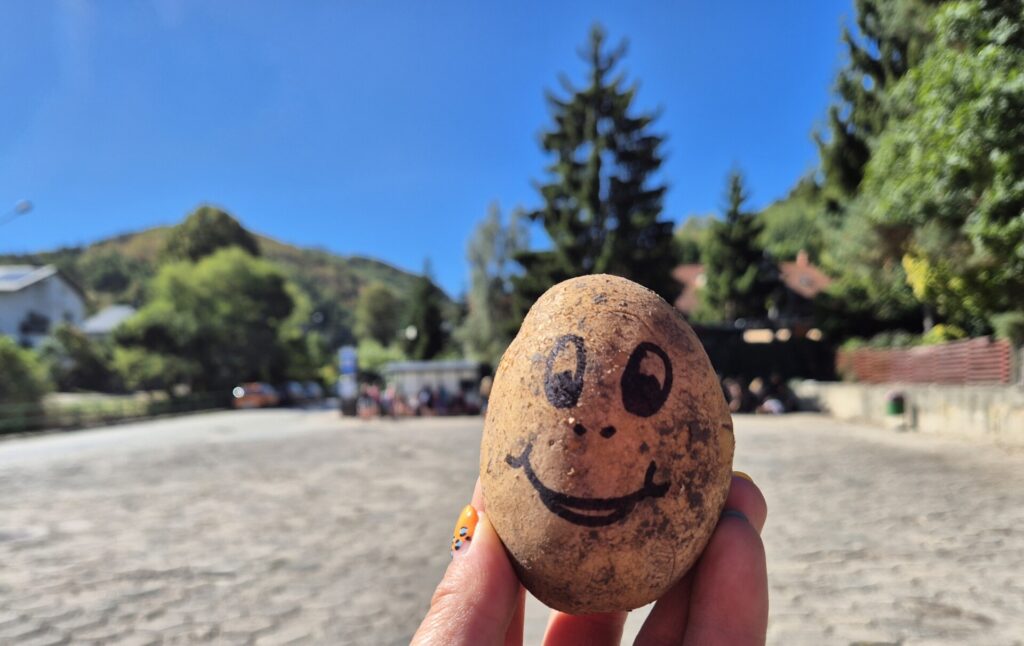 ziemniak na starcie trasy w Bielawie