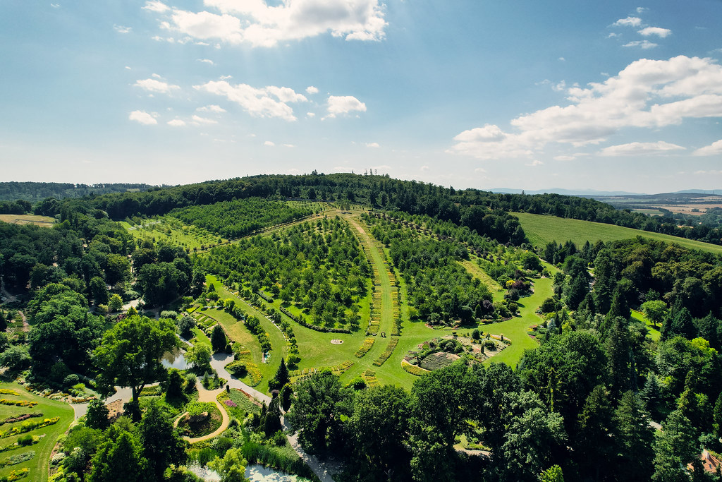 widok na Ostrą Górę od strony Arboretum