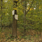 tabliczki na drzewie