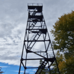 wieża na Ostrej Górze, wokół drzewa