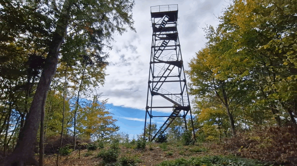wieża na Ostrej Górze, wokół drzewa