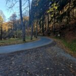 droga asfaltowa zakręt, wokół drzewa w jesiennych barwach