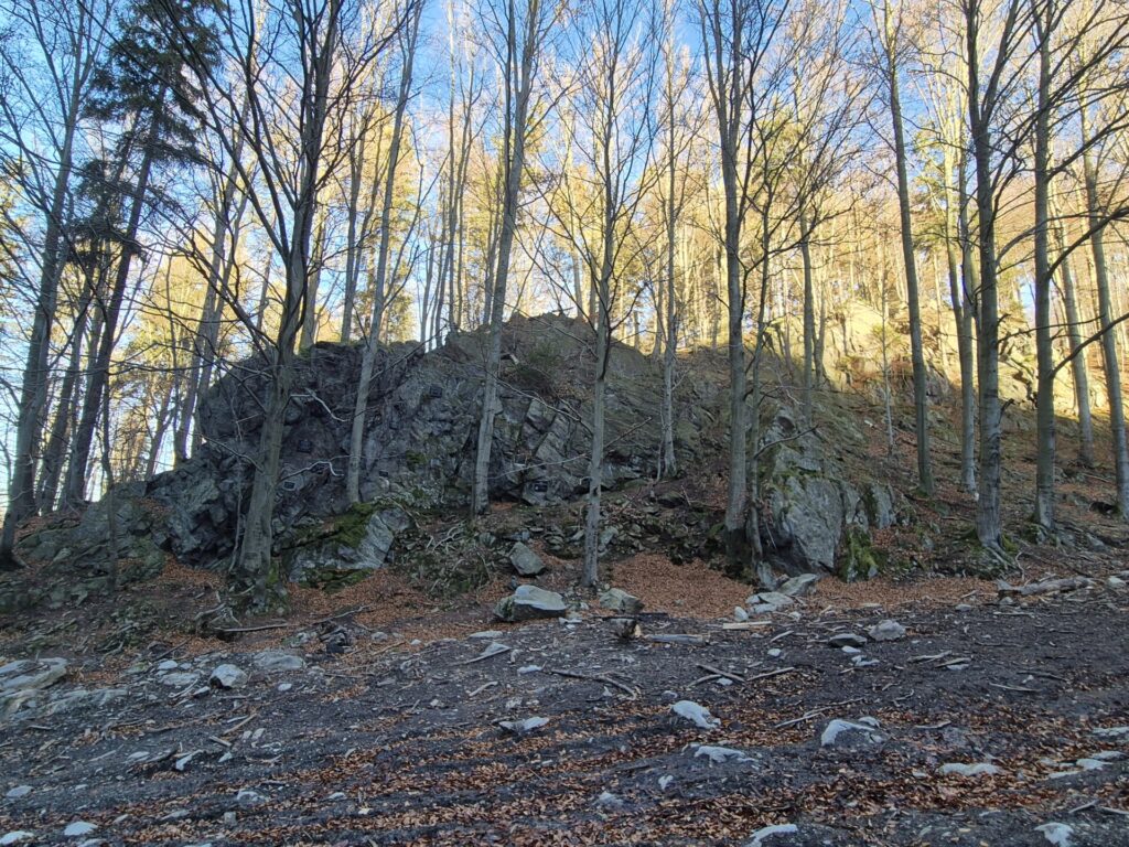 skała za drzewami