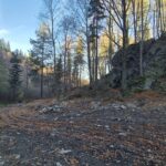 droga w lesie, widok na skałę