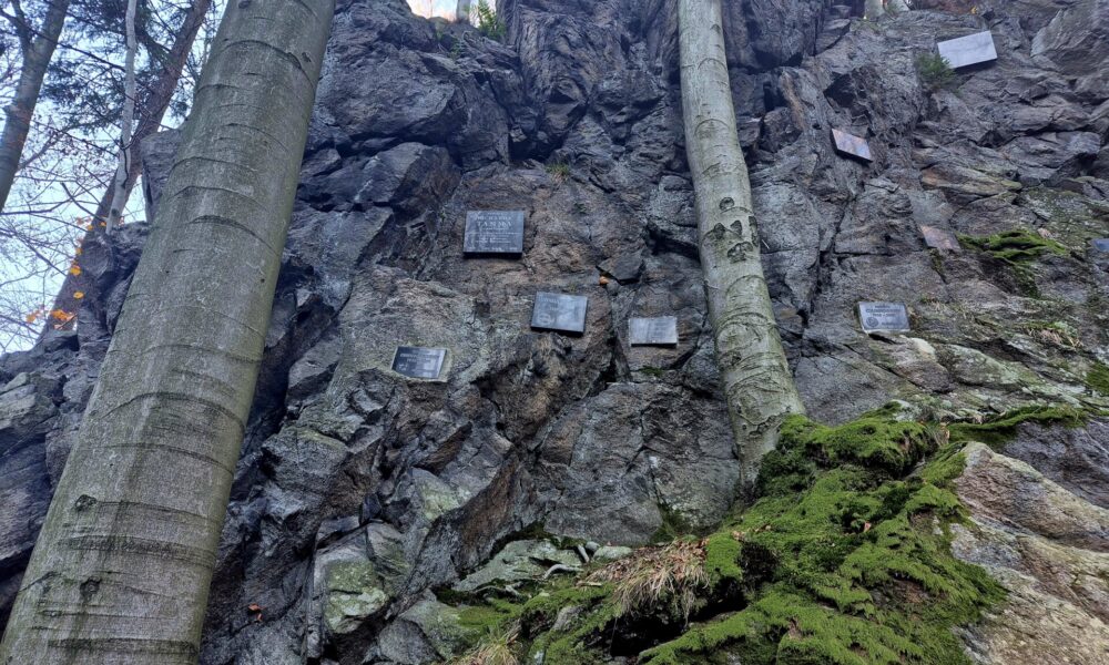 tablice na skale przy niej drzewa