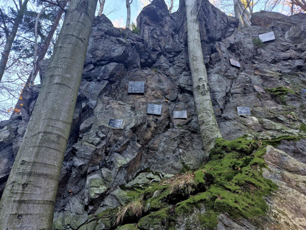tablice na skale przy niej drzewa