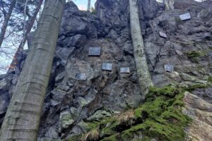 tablice na skale przy niej drzewa