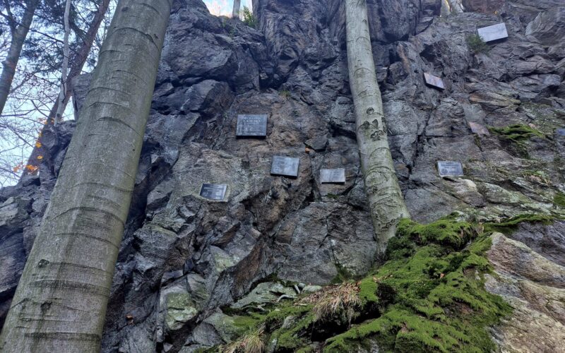 tablice na skale przy niej drzewa