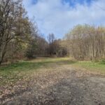 widok z parkingu na drogę leśną w stronę pomnika