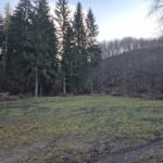 polana przed lasem, widok na wzniesienie, gdzie kiedyś była skocznia