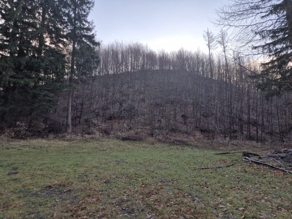 polana przed lasem, widok na wzniesienie, gdzie kiedyś była skocznia