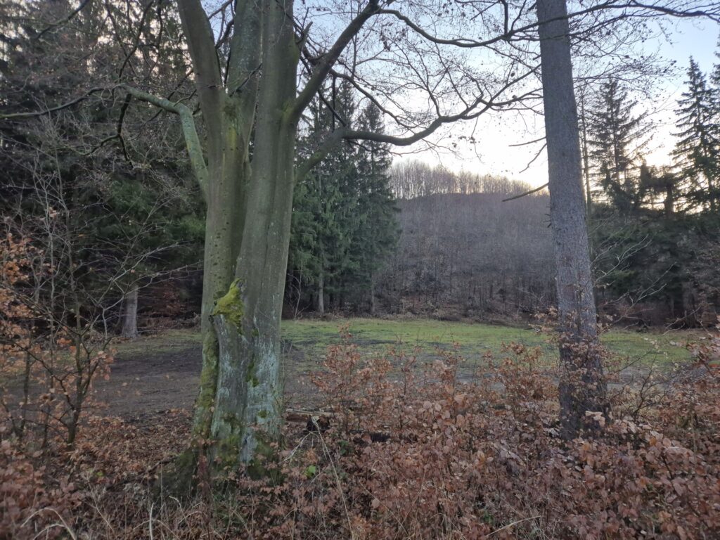 polana przed lasem, widok zza drzew z drogi na wzniesienie, gdzie kiedyś była skocznia