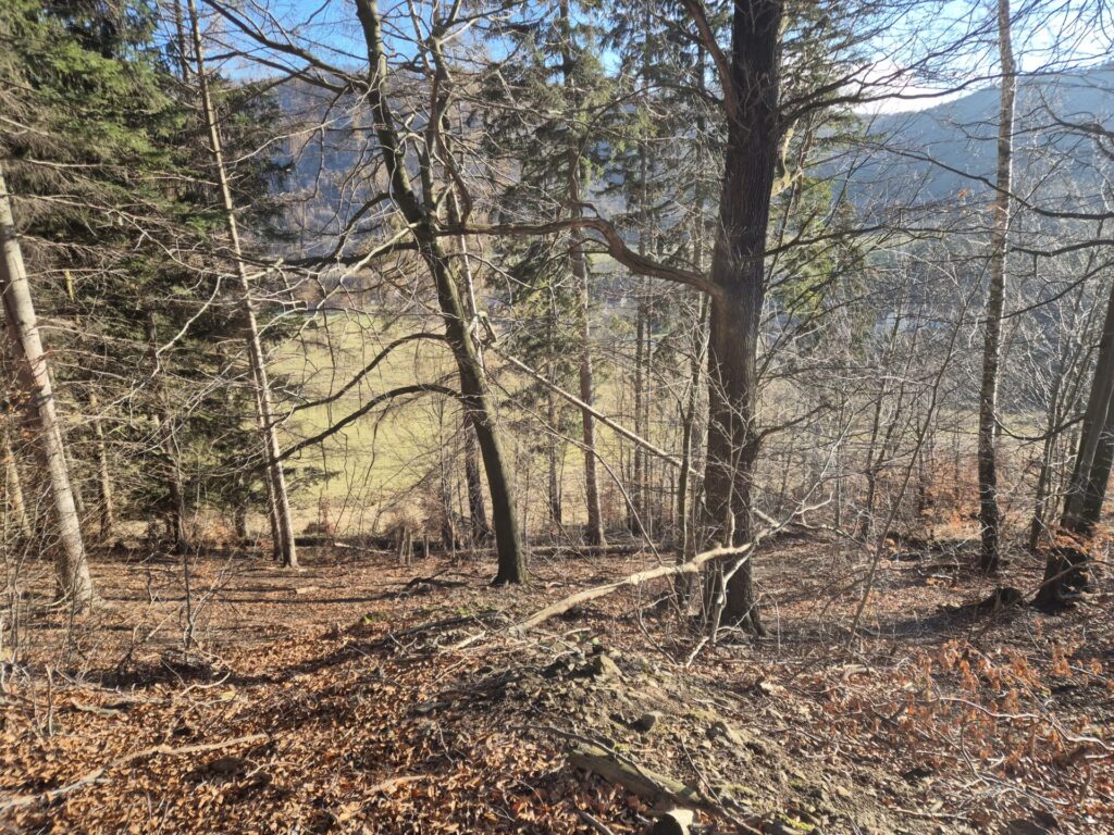 widok od góry na skocznię i poniżej