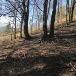 widok od prawej strony na wzniesienie, gdzie kiedyś była skocznia w Kamionkach