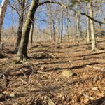 widok od dołu na usypane kamienie, pozostałość po dawnej skoczni