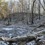 widok z oddali na wzgórze kolec porośnięte drzewami