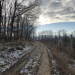 droga wzdłuż lasu od strony Dobrocinka