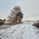 widok ze ścieżki na bok kapliczki