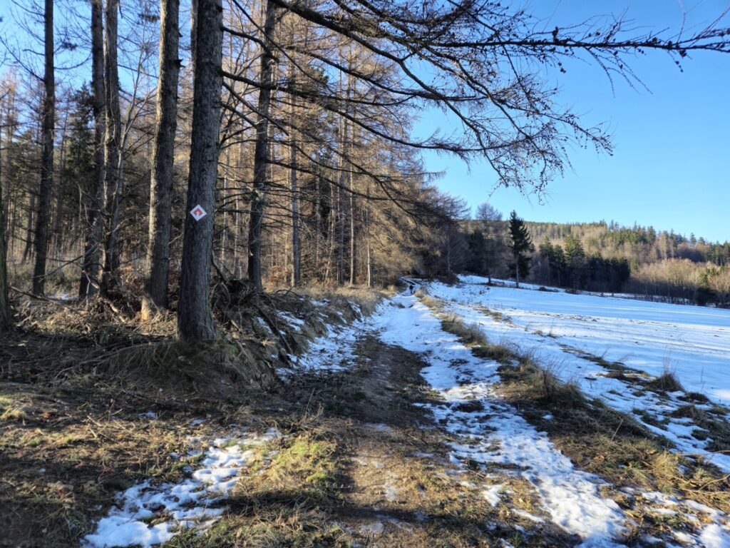 ścieżka wzdłuż lasu i polany, wokół pozostałości śniegu
