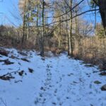 widok na ośnieżoną ścieżkę w górę