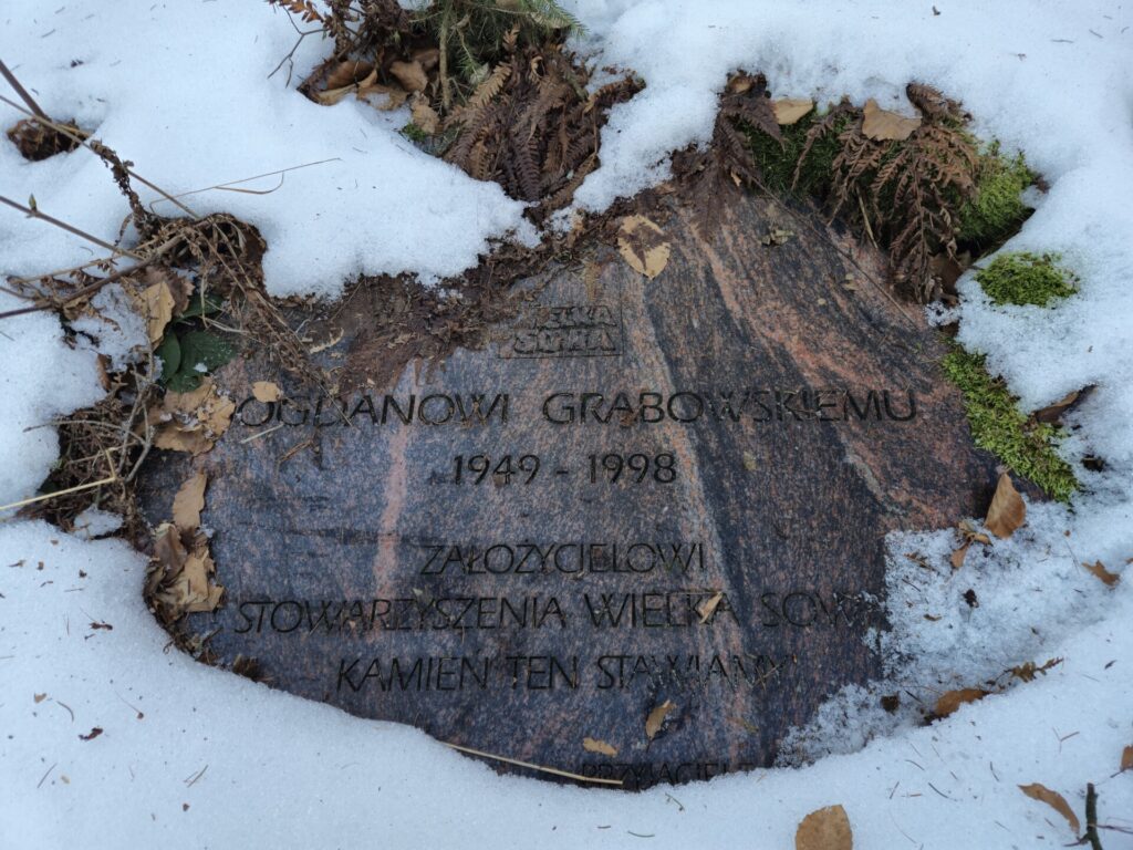 zbliżenie na kamień Bogdana Grabowskiego