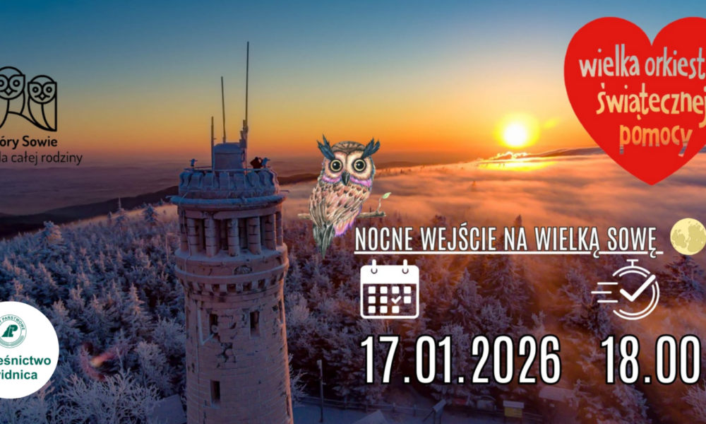 grafika Wielka Sowa dla WOŚP