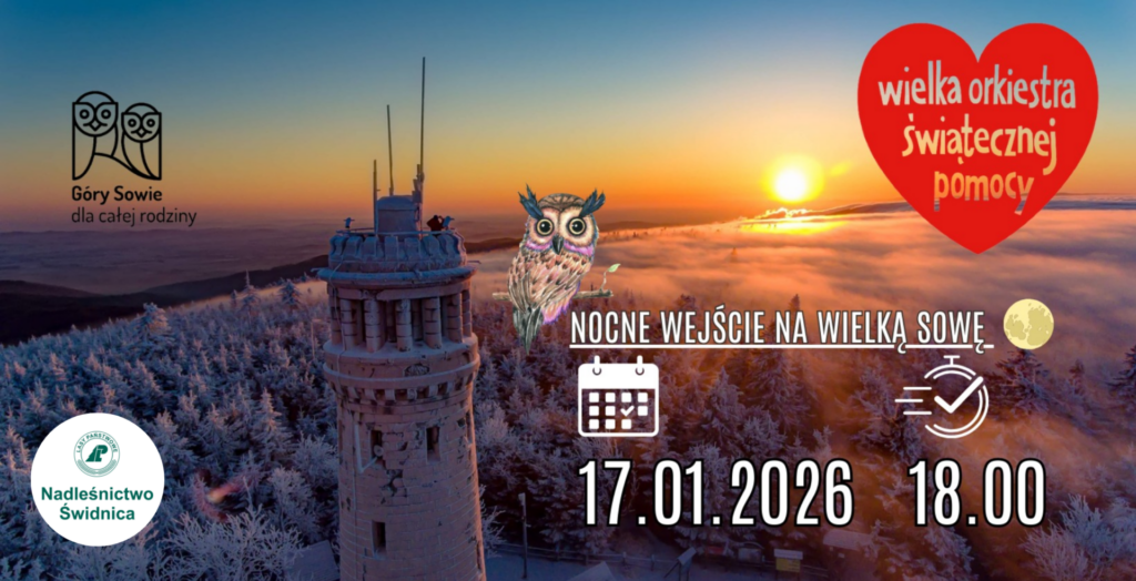 grafika Wielka Sowa dla WOŚP