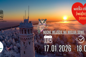 grafika Wielka Sowa dla WOŚP