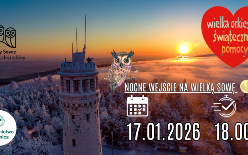 grafika Wielka Sowa dla WOŚP