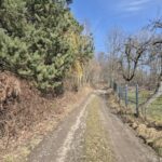 droga polna, przy niej płot