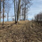 widok na grodzisko z oddali