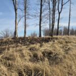 widok na wał kamienny obok niego drzewa